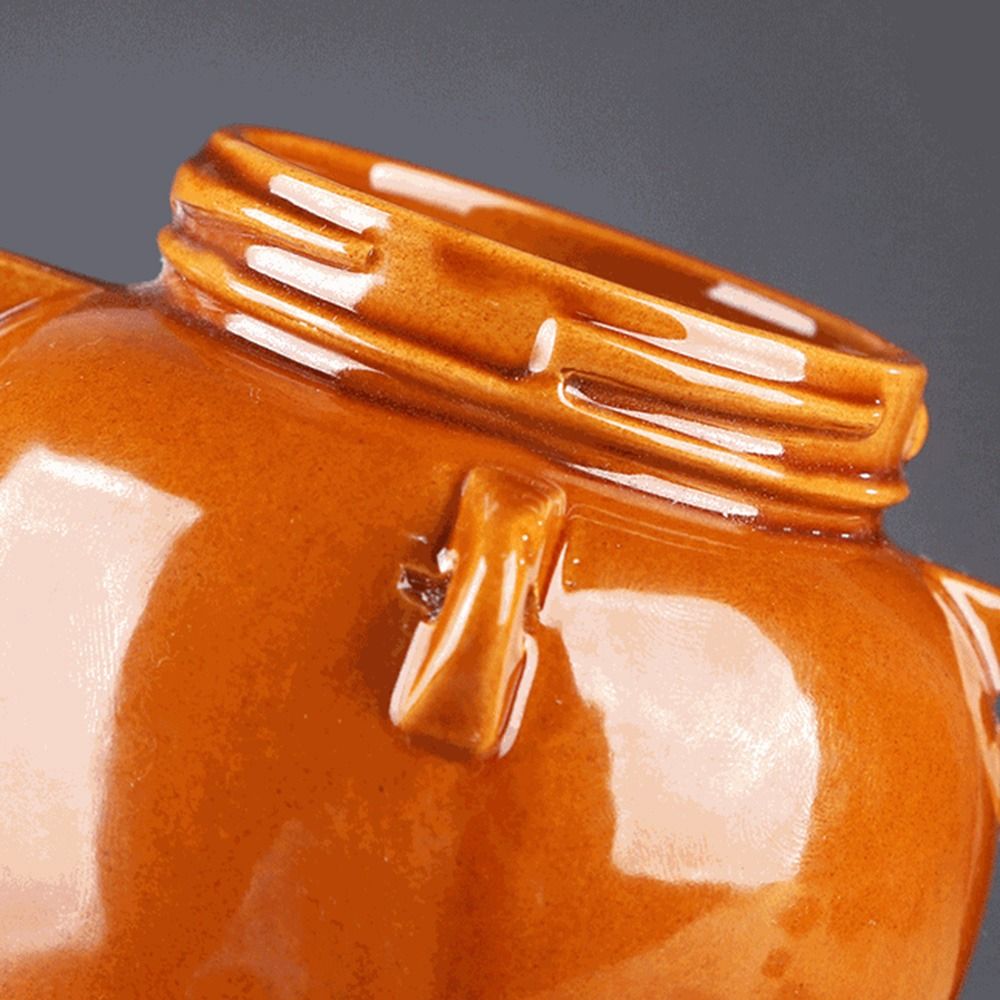 Pote de Cerâmica de Grande Cap - Fermentation Crock avaliação e preço