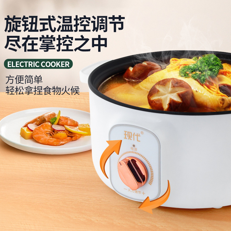 Mini panela elétrica multifunc - Home Cooking Appliances avaliação e preço